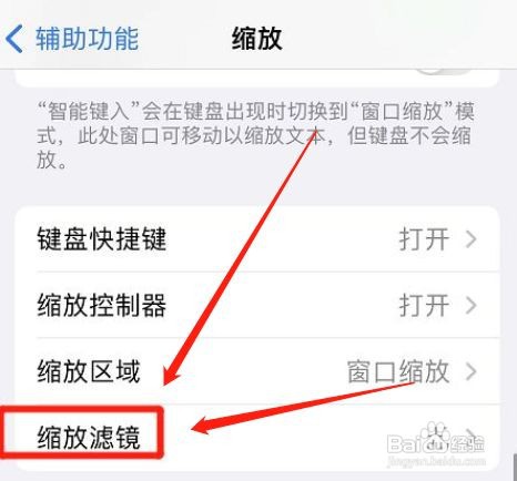 iPhone12手机缩放如何开启灰度滤镜