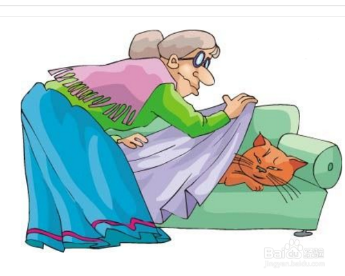 养猫需要注意什么