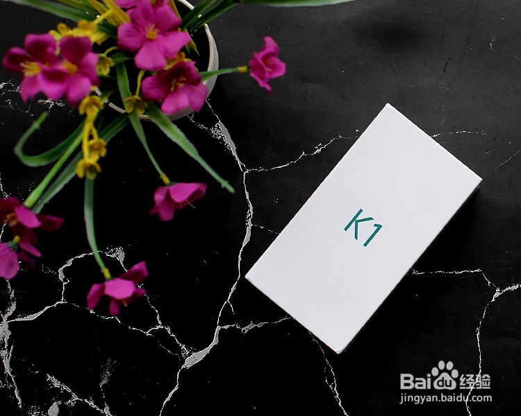 OPPO K1 手机开箱晒物
