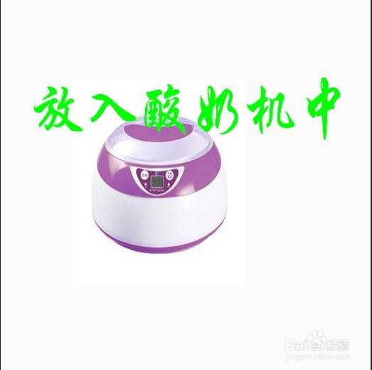 教大家酸奶如何制作。