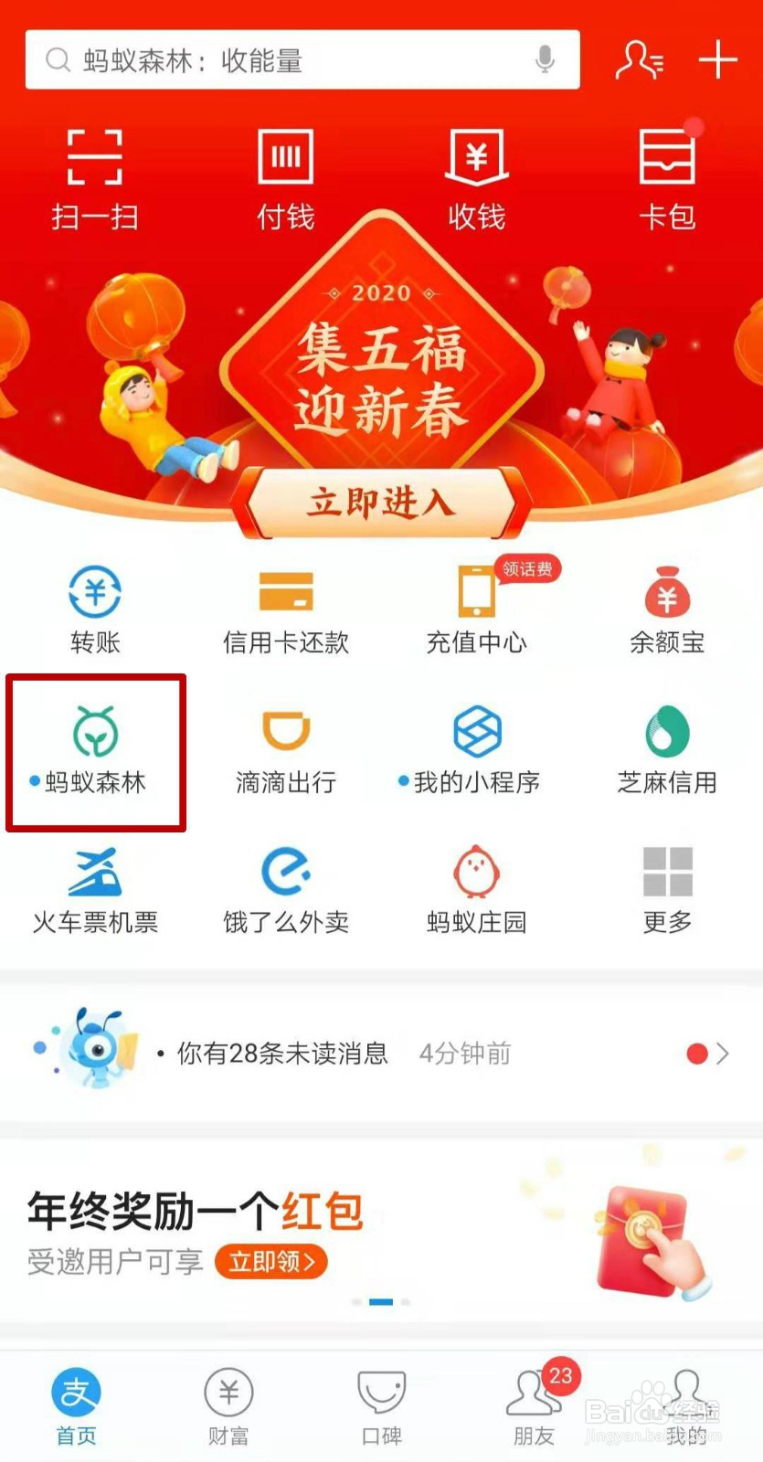 如何给飞蚂蚁公益林浇水