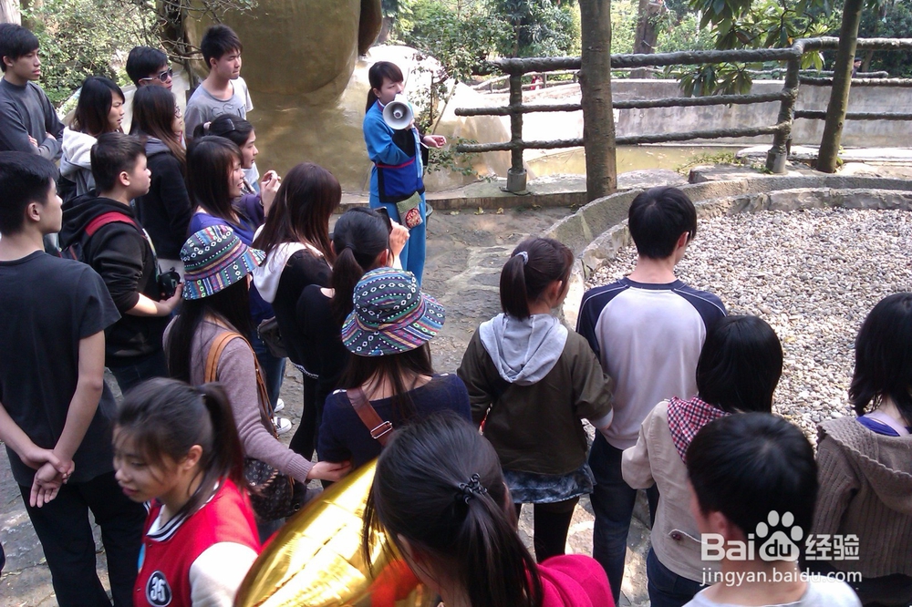 组团外出旅游应该注意那些事项？