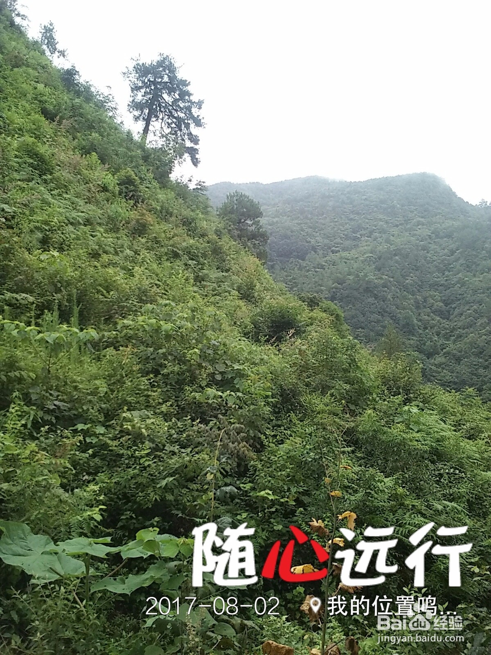 山羊洞美女帅哥心中的家