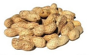 早餐吃什么有助于提高大脑注意力