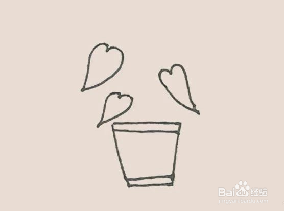 简笔画龟背竹