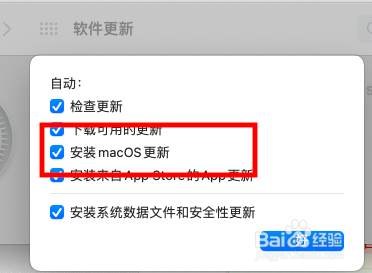 苹果电脑开启自动【安装macOS更新】设置