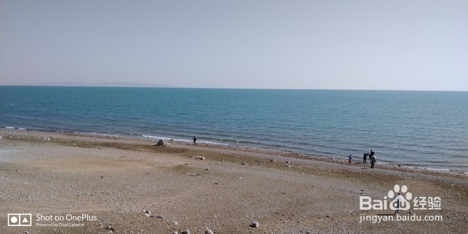 青海湖租摩托车骑行青海湖-青海湖,梦幻般的湖