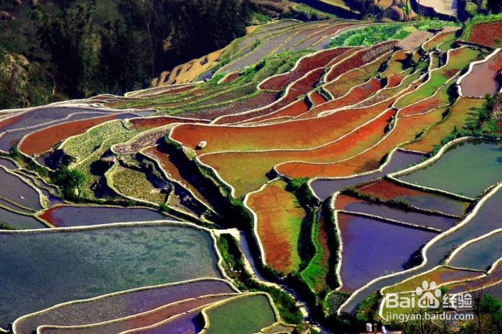 山地怎么开发