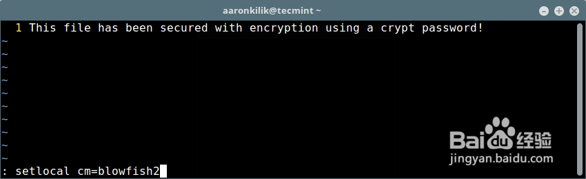 使用 Vim 给文件设置密码保护