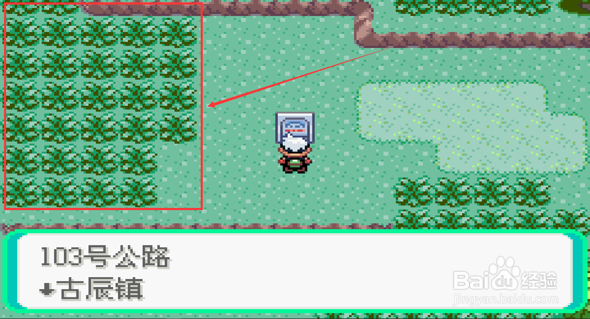 口袋妖怪绿宝石长翅鸥在哪里抓