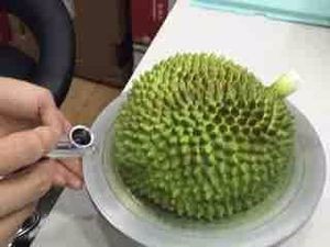 仿真榴莲造型蛋糕制作教程~萌萌哒