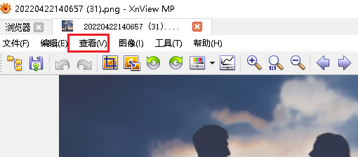 在如何在 XnViewMP中显示网格线