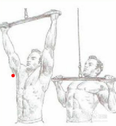 增肌速成：[2]如何有效锻炼背阔肌