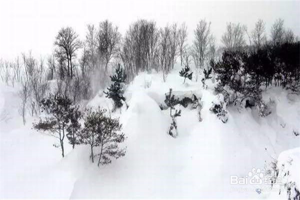 教你如何在不受天气影响的情况下拍出大片-拍照