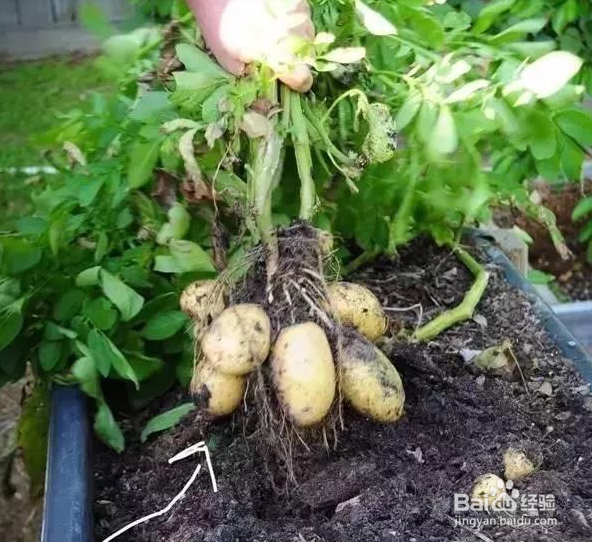 有哪些过时的生活常识