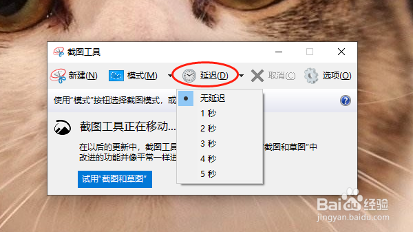 电脑截图怎么截