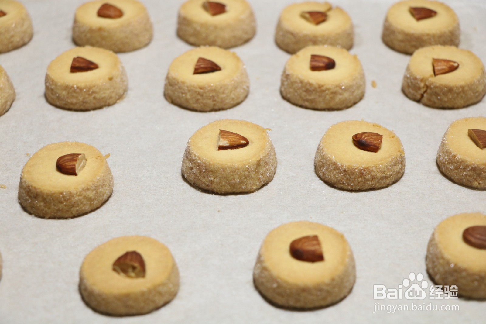 沙布蕾曲奇饼干