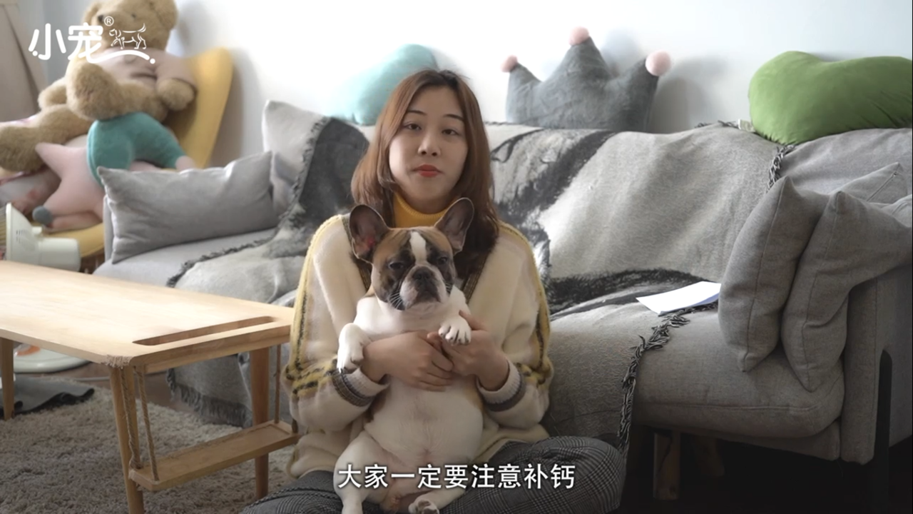狗狗如何正确补钙