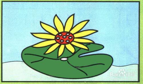 睡莲的简笔画