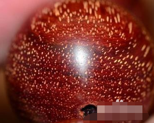 小叶紫檀怎么玩