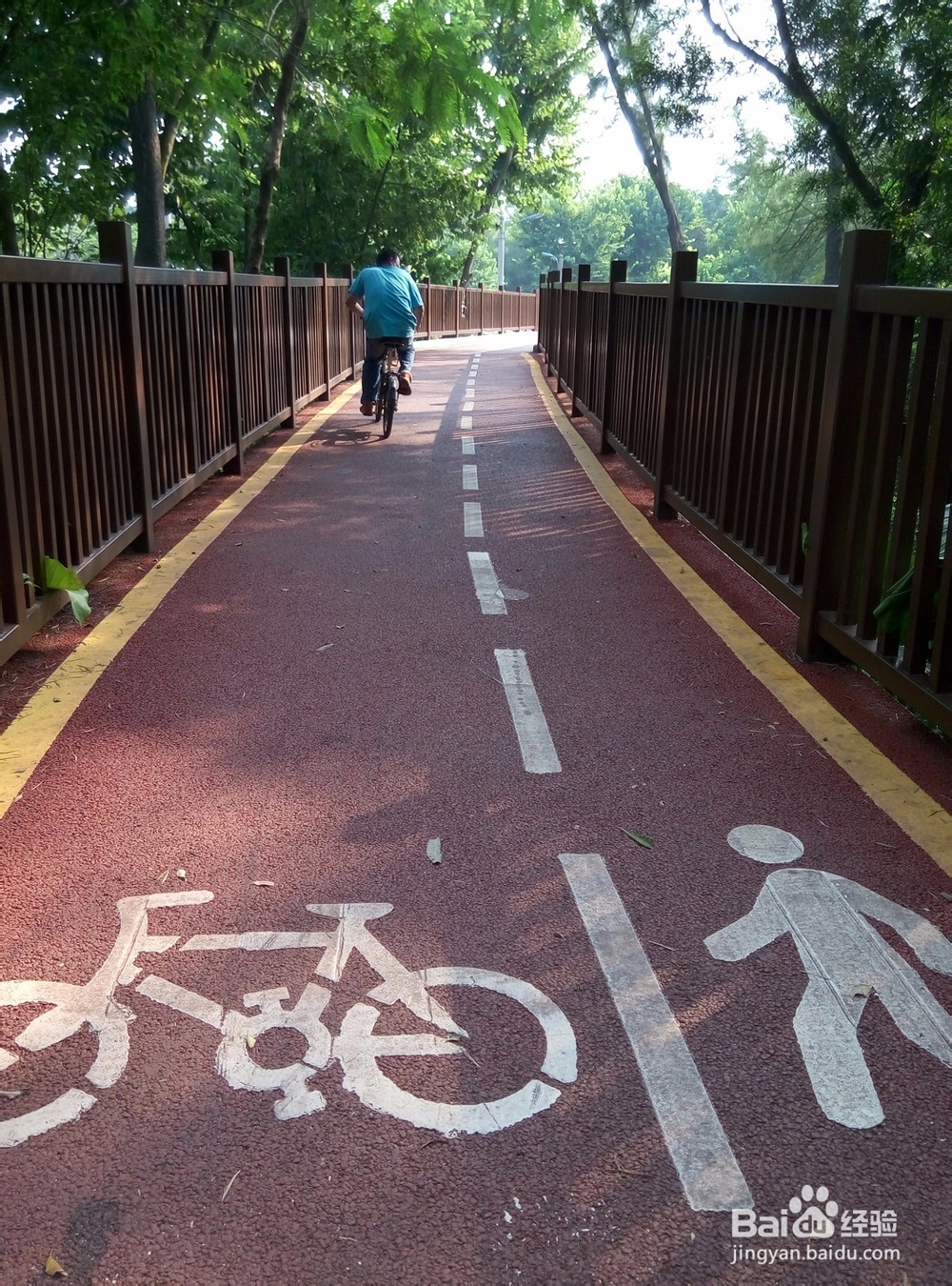 深圳有哪些好玩又免费的地方?