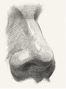 如何画好素描头像三