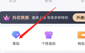 安卓版抖你如何查看升级技巧