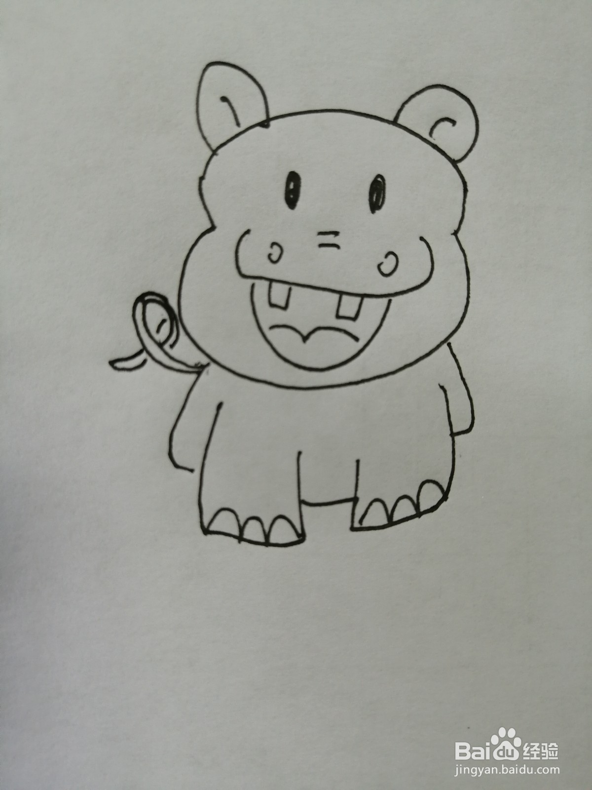 可爱的小河马怎么画