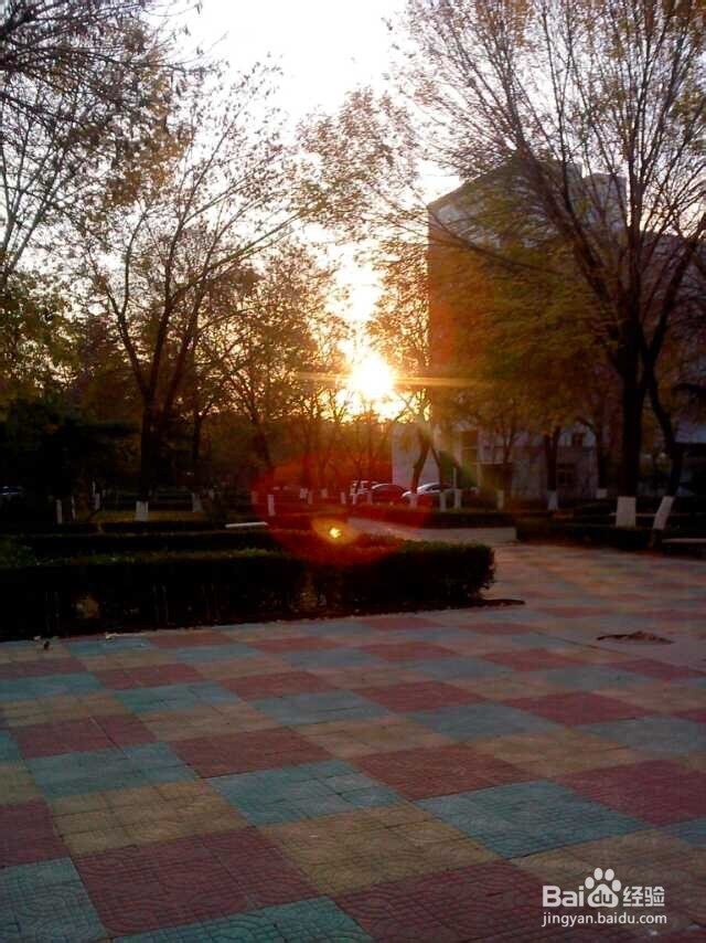 如何拍出更有意境和美感的照片