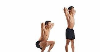 徒手深蹲的动作