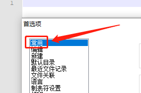 Notepad如何隐藏后缀名栏