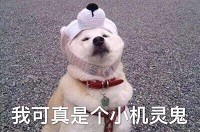 照片太多手机空间不够用?给你小妙招