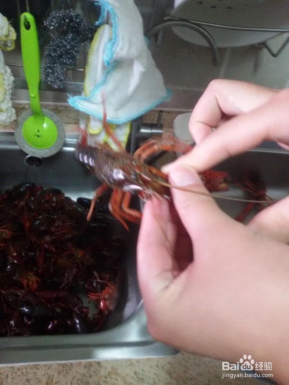 如何清洗小龙虾?