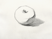 素描静物的画法一