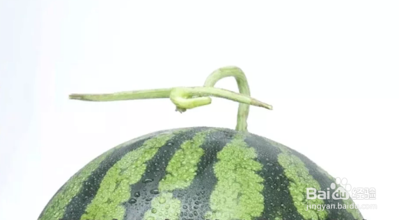 挑选西瓜的方法