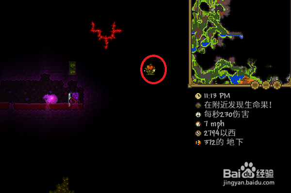 泰拉瑞亚生命果在哪里,生命果怎么找