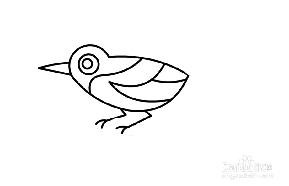 喜鹊简笔画 分步画法