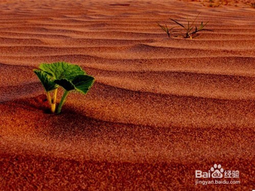 困难面前如何克服自己,勇敢前行?