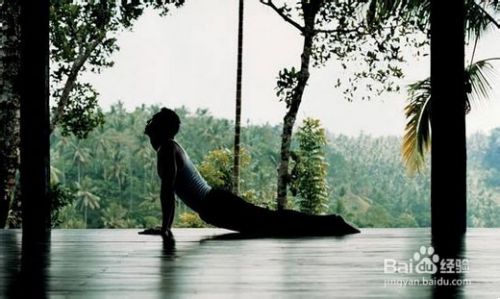 14年春天适合做什么事 百度经验