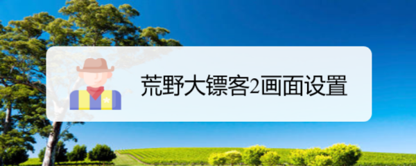 荒野大镖客2画面设置