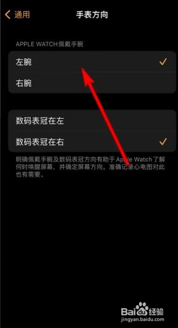 apple watch表带如何戴