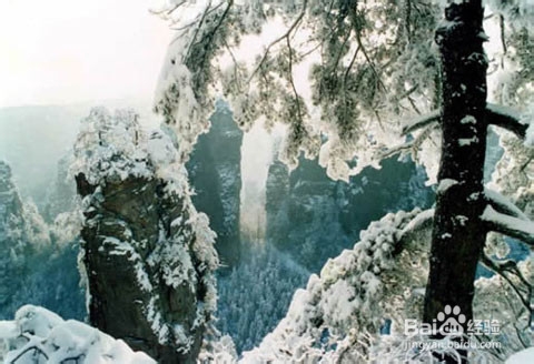 广州到张家界旅游攻略