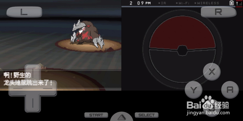 口袋妖怪黑2龙头地鼠如何获得