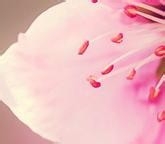 生活小常识奇乐无穷22 5