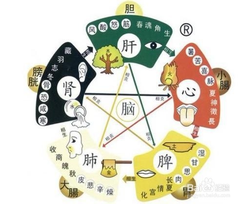 中医养生方法