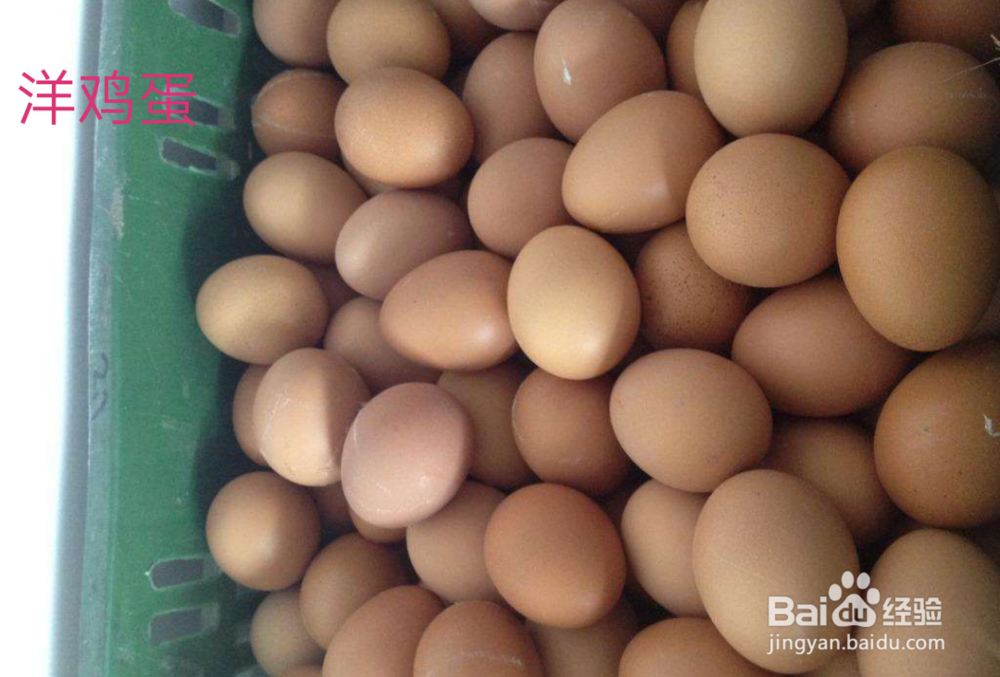 不同种类的蛋对人体都有哪些好处？