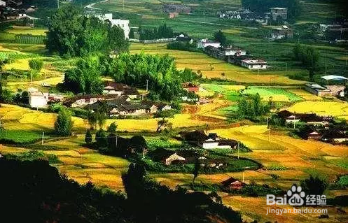 快来看看有哪些地方适合清明小长假出行吧