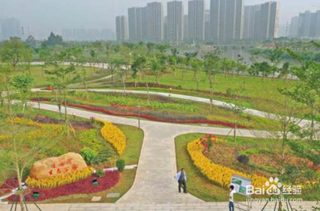 阳江周边公园广场有哪些