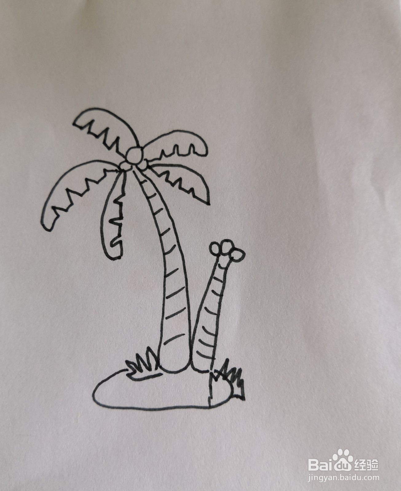 椰子树的简笔画