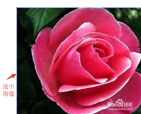 illustrator中用描摹把位图生成矢量图